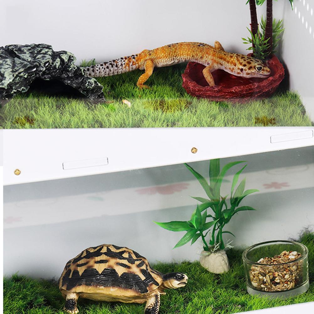 Boîte d'élevage de Reptile pour animaux de compagnie Double boîte d'élevage d'insectes serpent araignée lézard Scorpion mille-pattes boîte d'élevage