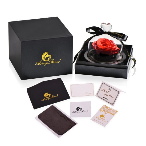 AINYROSE fleur de Rose artificielle en dôme de verre avec lumière LED boîte lampe de nuit Rose éternelle d'anniversaire de mariage pour fille: Red with gift box