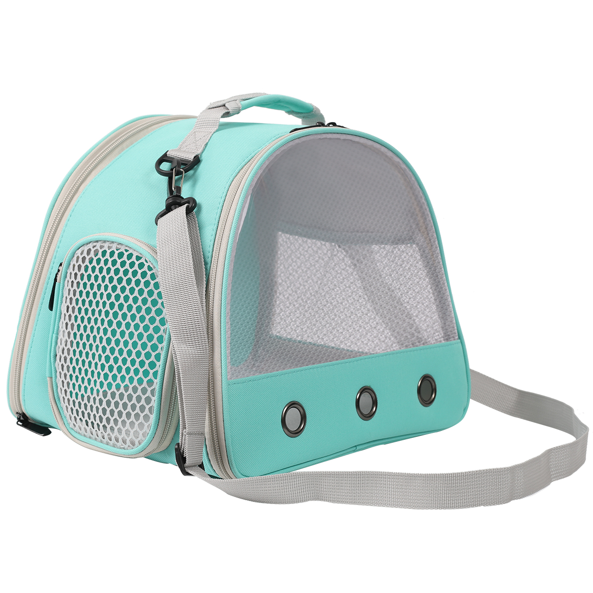 Porte-cochon d'inde Portable clair, Cage de Transport pour Hamster, sac de voyage pour Reptile, petit lapin pour animaux de compagnie, Dragon barbu pour l'extérieur: vert clair
