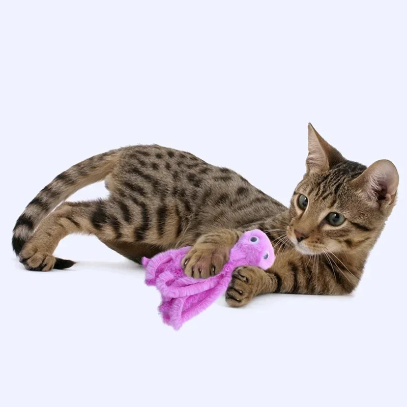 Kattenspeelgoed Schattig Octopus Knuffel Bijtbestendige tanden Interactief spelen Dierbenodigdheden Kat Hondenspeelgoed Octopus