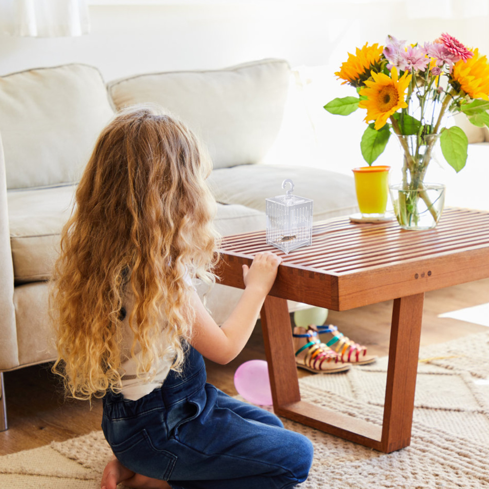 Insect House Bug Box Transparent Insect Cage Grasshopper Box Butterflies Cage