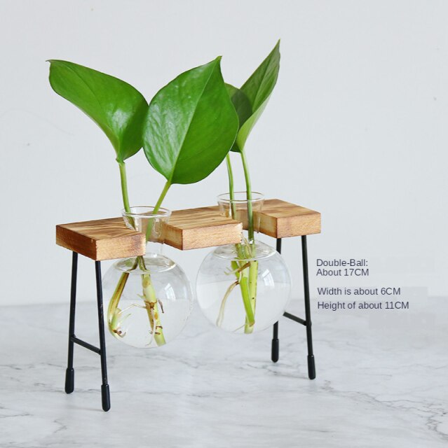 Florero de vidrio para plantas hidropónicas, marco de madera para cafetería, jarrón de decoración, terrario, bonsái para el hogar, estación de decoración: B