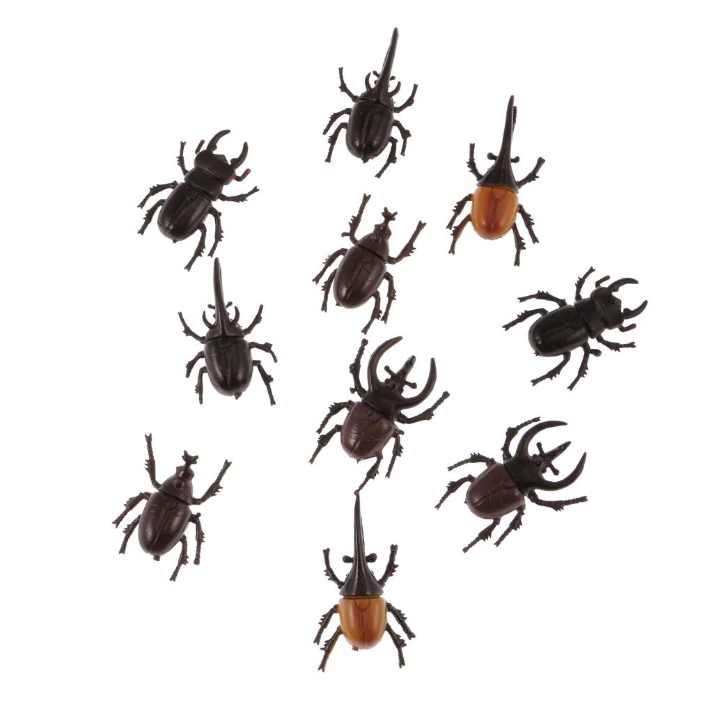 Realistische Garnelen Figur - Kunststoff Modell Für Deko & Lernen