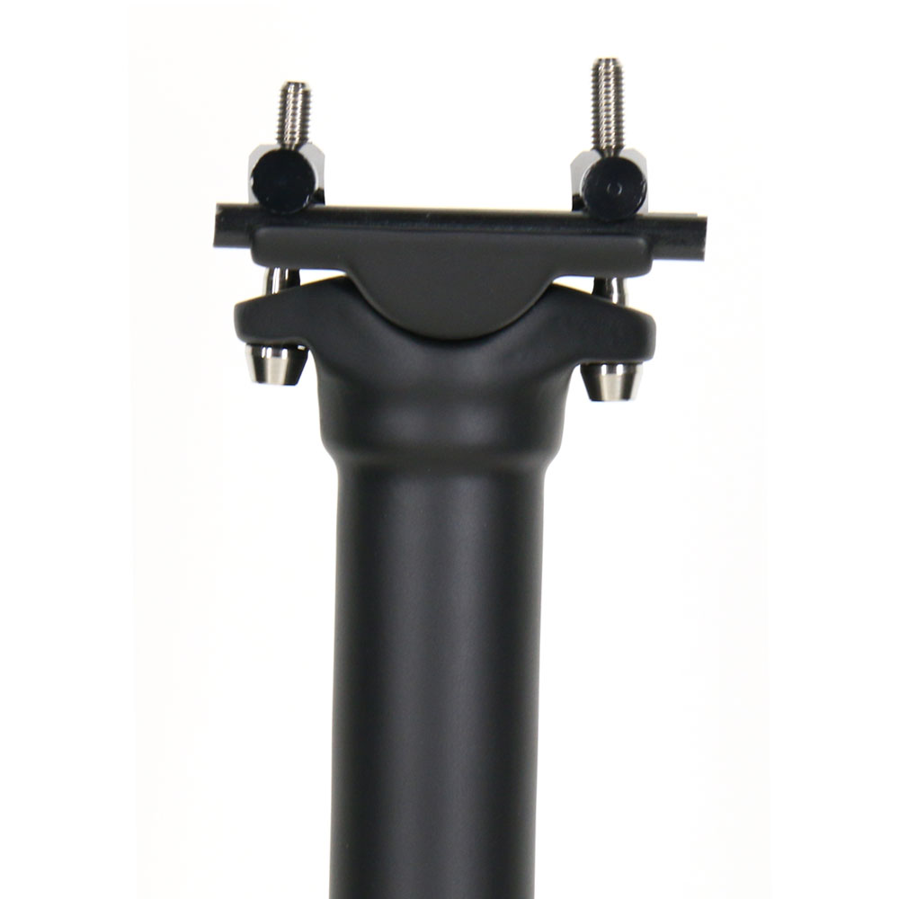 ELITA ONE Carbon Seat Post 27.2/30.9/31.6mm MTB/Road Biike Carbon Fiber Seatpost Titanium Screws Light 130g Seat Tube
