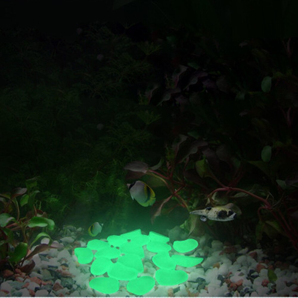 50 Glow In Dark Pebbles Stone Home Garden Walkway Aquarium Fish Tank Valentine Glow In The Dark Garden Pebbles Stones Rocks