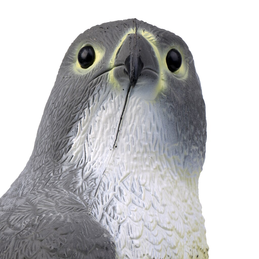 Realistic Eagle Scarecrow / Bird Scarer / Decoy Outdoor Shooting Target