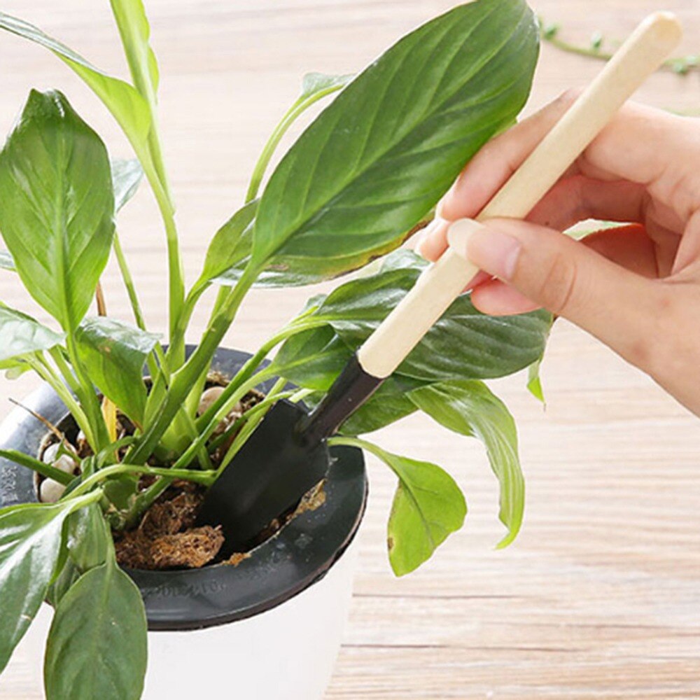 3 unids/set de madera de jardín Kit de herramientas de mano Metal cabeza herramientas de jardinero Mini pala para jardinería pala rastrillo paleta