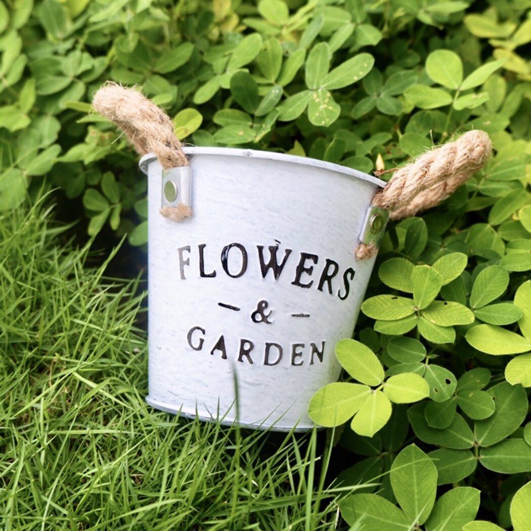 Macetas de Metal para plantas, florero, bola de cristal, decoración para el hogar, flores y plantas