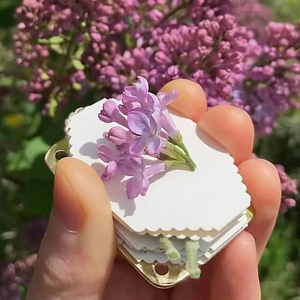 Micro Flower Press Miniature Flower Press Kit Plants Art Crafts Metal Flower Pressing DIY Pressed Flower Plant Preservation Kit