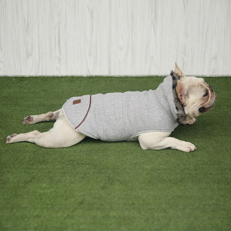 DOGGYZSTYLE Denim Jacke Für Hunde – Jeans Hundeweste Mit Kapuze, Für Kleine & Mittelgroße Hunde, Waschbar