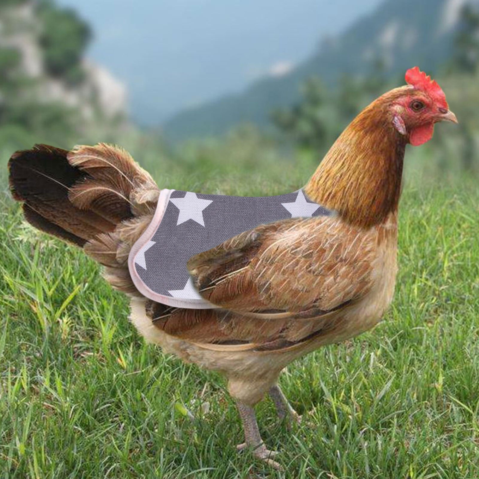 Ubranka dla zwierząt ubrania dla kurczaka kamizelka dla zwierząt fartuch dla kur drób kura siodło fartuch piórko uchwyt ochronny kurczak ochraniacz kura sukienka