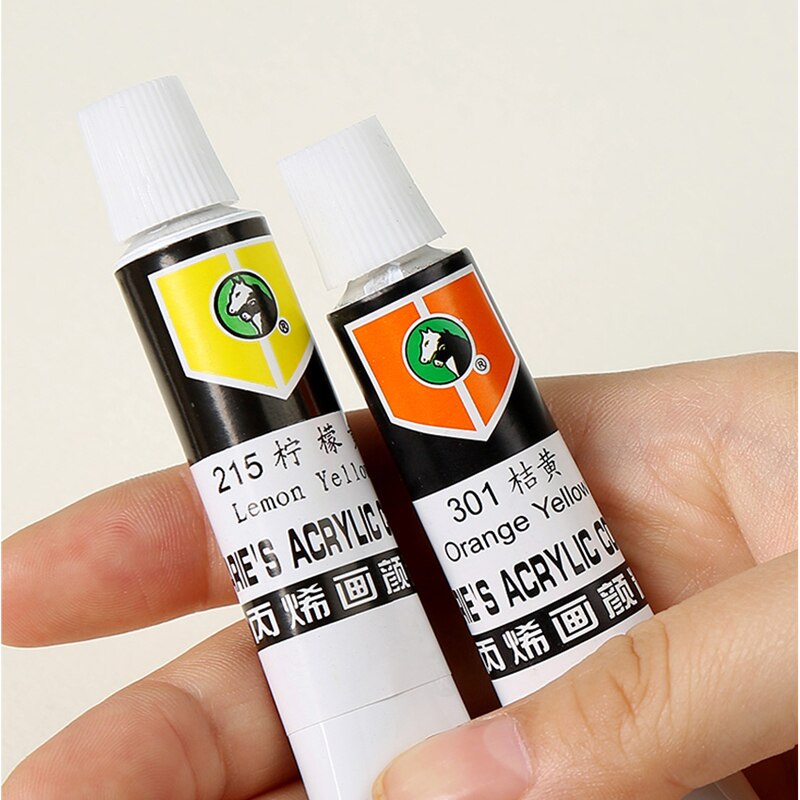 Acryl verf 12/18/24/36 kleur Beginner hand geschilderde muur kleur set acryl 12ML diy pigment kunst levert