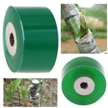Rollo de cinta de injerto para guardería, rollo de 100m para secar árboles frutales, grabado de ramas, cinturón de jardinería, cinta de lazo de PVC estirable, banda de película de injerto