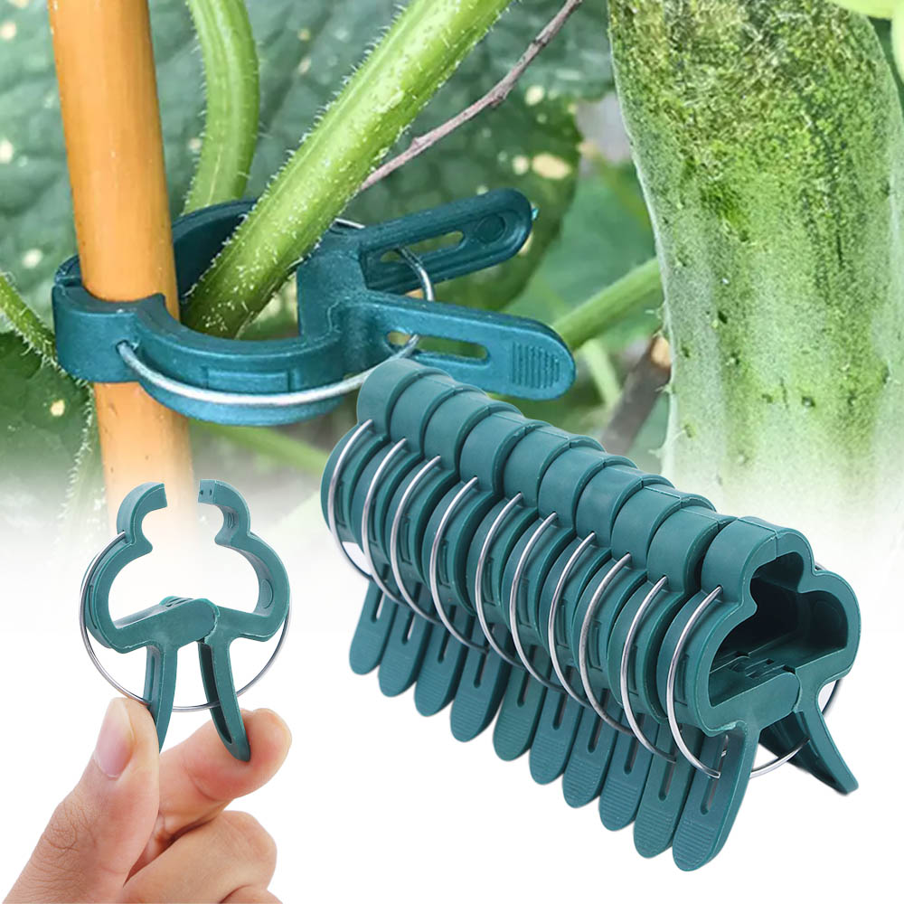 20Pcs Groene Tuin Plant Vaste Clips Voor Greenhous Groenten Bloemen Stem Wijnstokken Druif Klem Ondersteuning Rechtzetten Stengels
