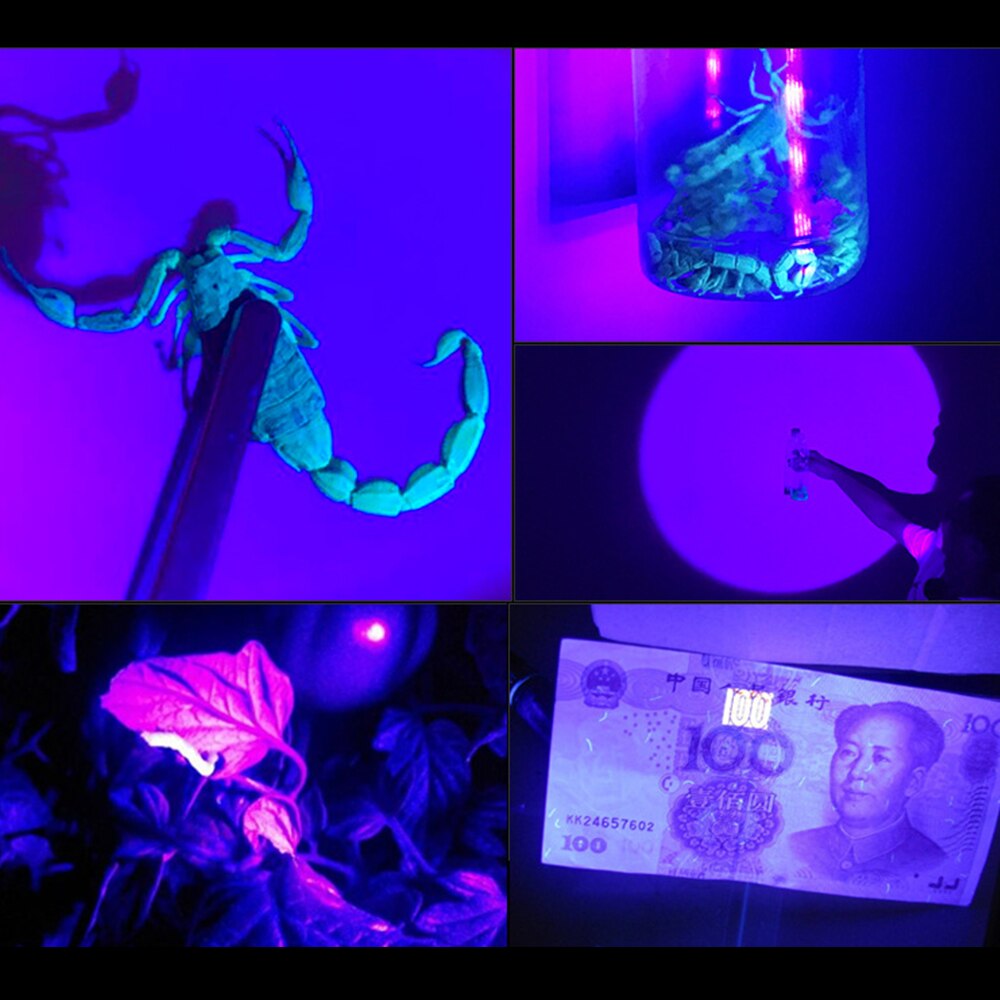 UV LED Purple Headlamp 395nm Battery built-in USB Charger Sensor Headlight Torch Head Catching Scorption Torch Headlamp