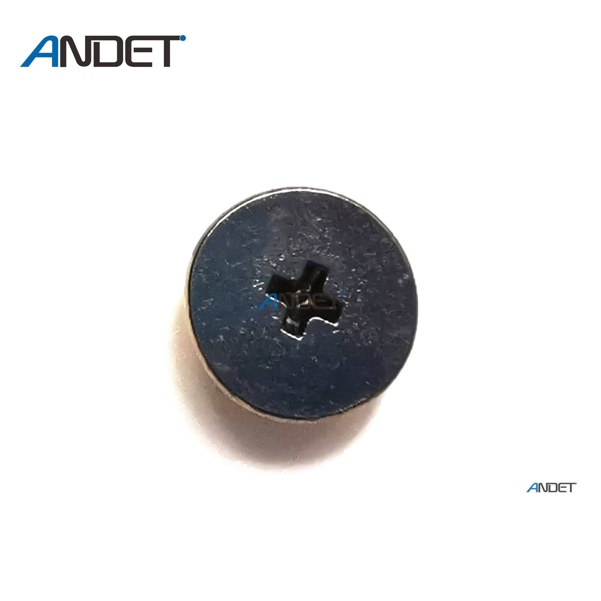 ANSIEDIO RVS Ronde Kop Dome Hoofd Torx Schroeven Schroef Bout Beveiliging Anti Diefstal Machineschroeven M6×35mm,5 pcs