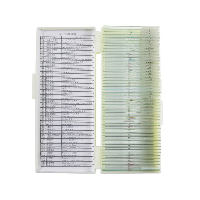 50 pieces of biological section set Chinese and English labels microscope biological section specimen set biological slide