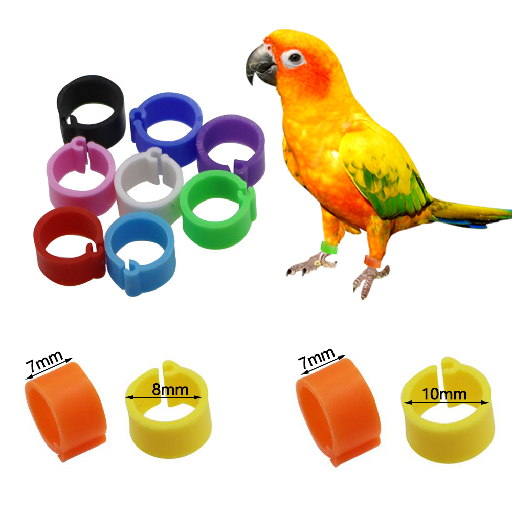 Bird Foot Ring Outdoor Flight Training Tool Plastic Clip Ring Pigeon Dove Quail Foot Ring Competition Identification Label