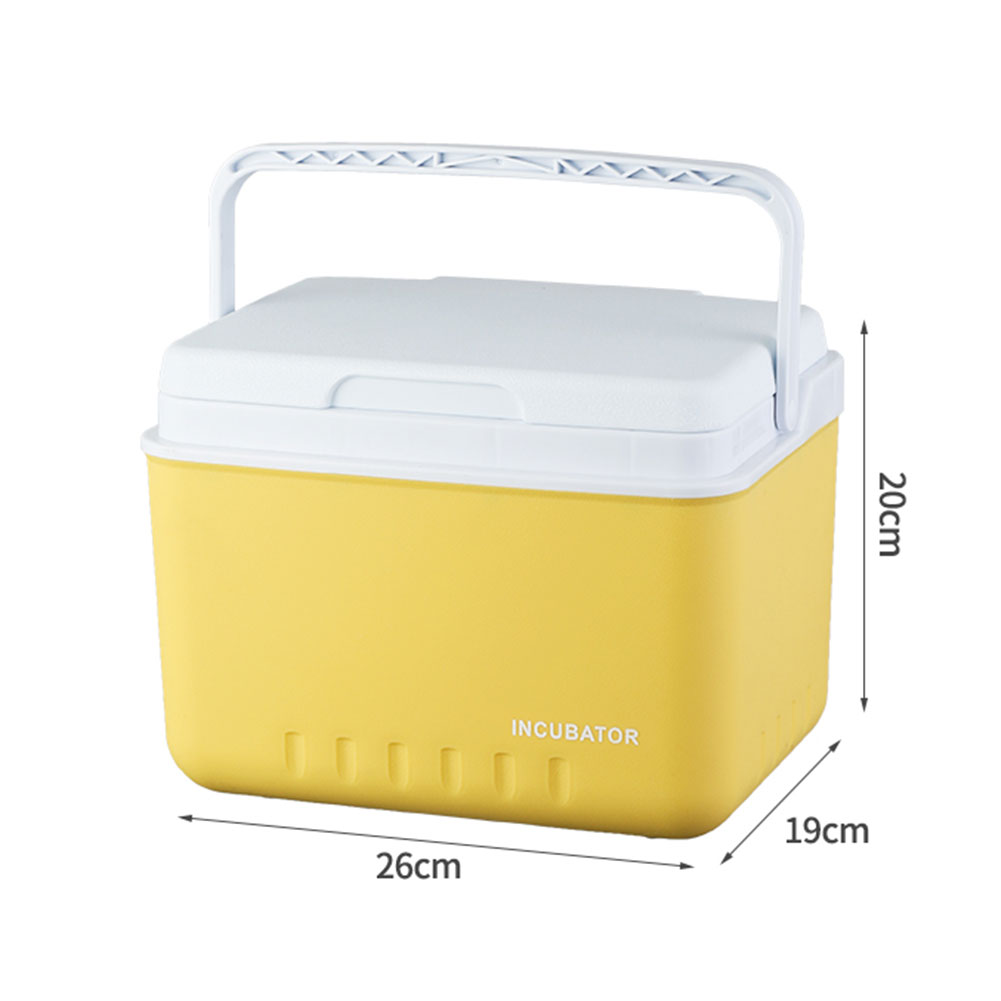 Boîte isotherme de Camping 6L, seau à glace Portable polyvalent pour Camping pique-nique plage boisson boisson pêche: Default Title