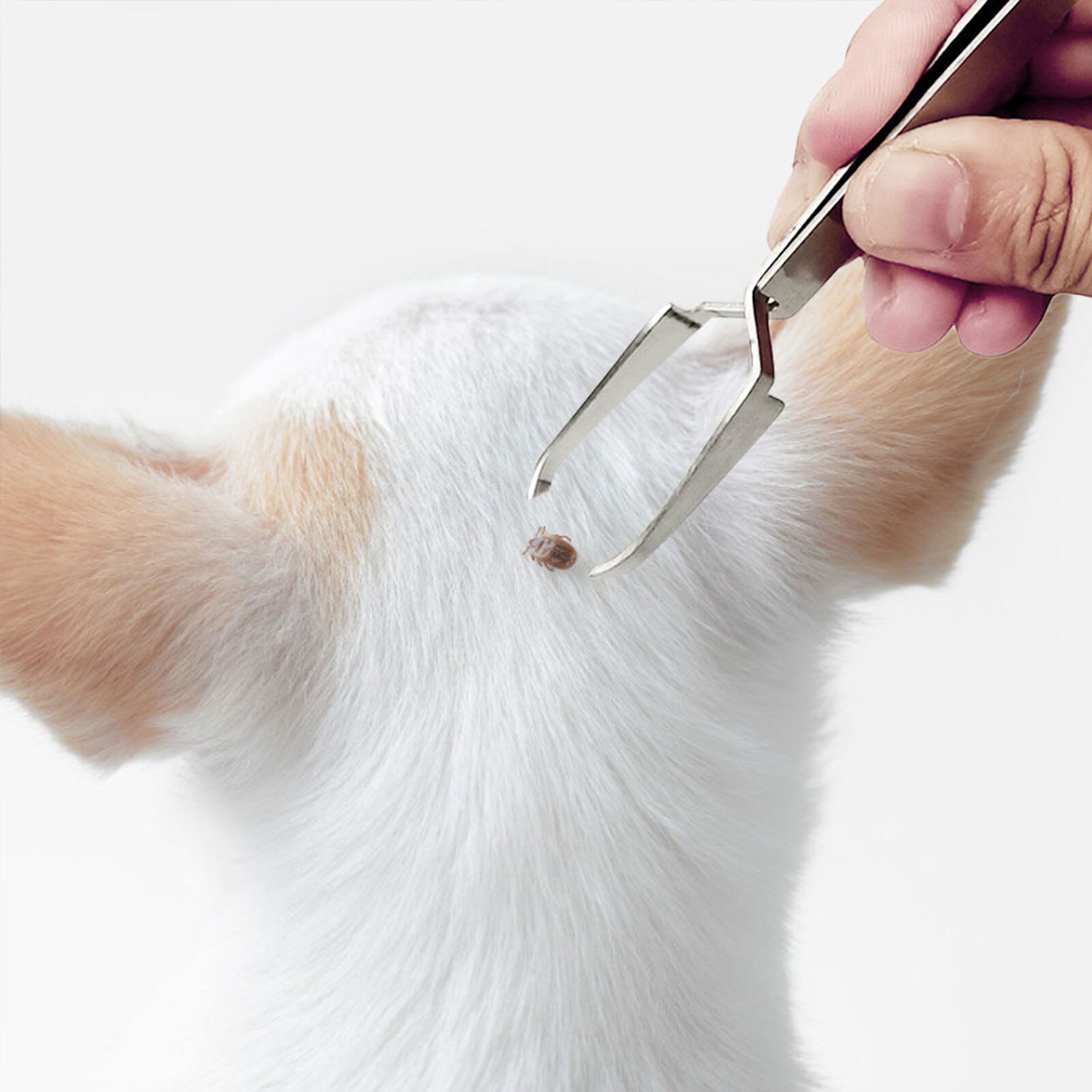 2 In 1 Rvs Tick Pincet Professionele Quick Tick Removal Tool Voor Kat Hond Mensen Dierbenodigdheden Hond Tick verwijdering