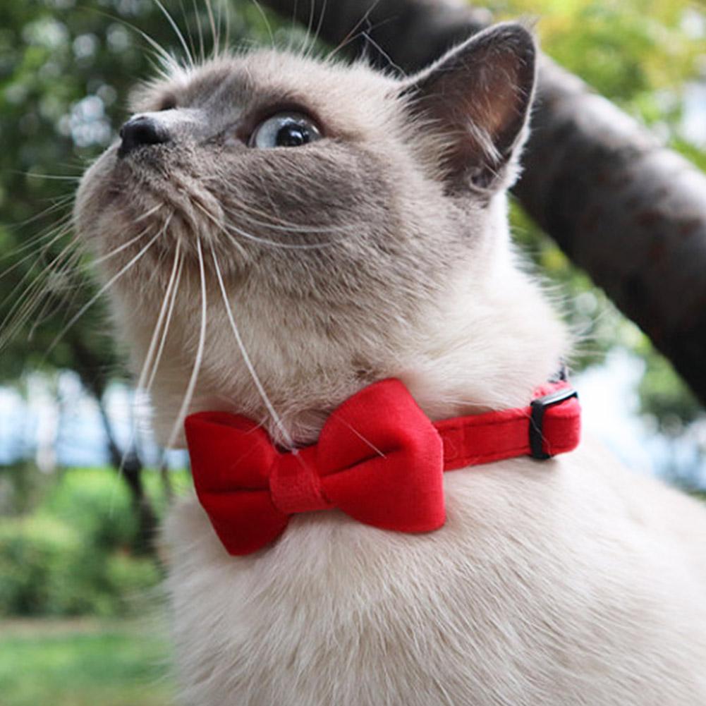 Suède Strikkraag Effen Kleur Strik Puppy Chihuahua Kragen Met Bel Verstelbare Veiligheidsgesp Katten Vlinderdas Huisdieren Accessoires