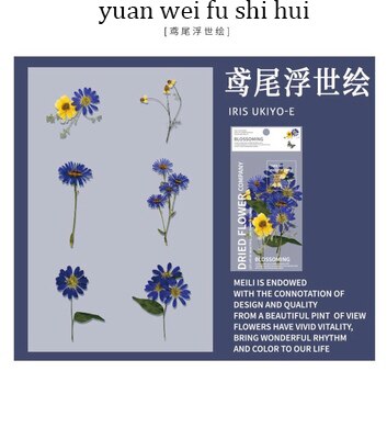 Jianwu 6 ark blomst stor klistermærke pakke plante journal klistermærke dekorative klistermærker note collage papir papirvarer: Yuan wei fu shi hui