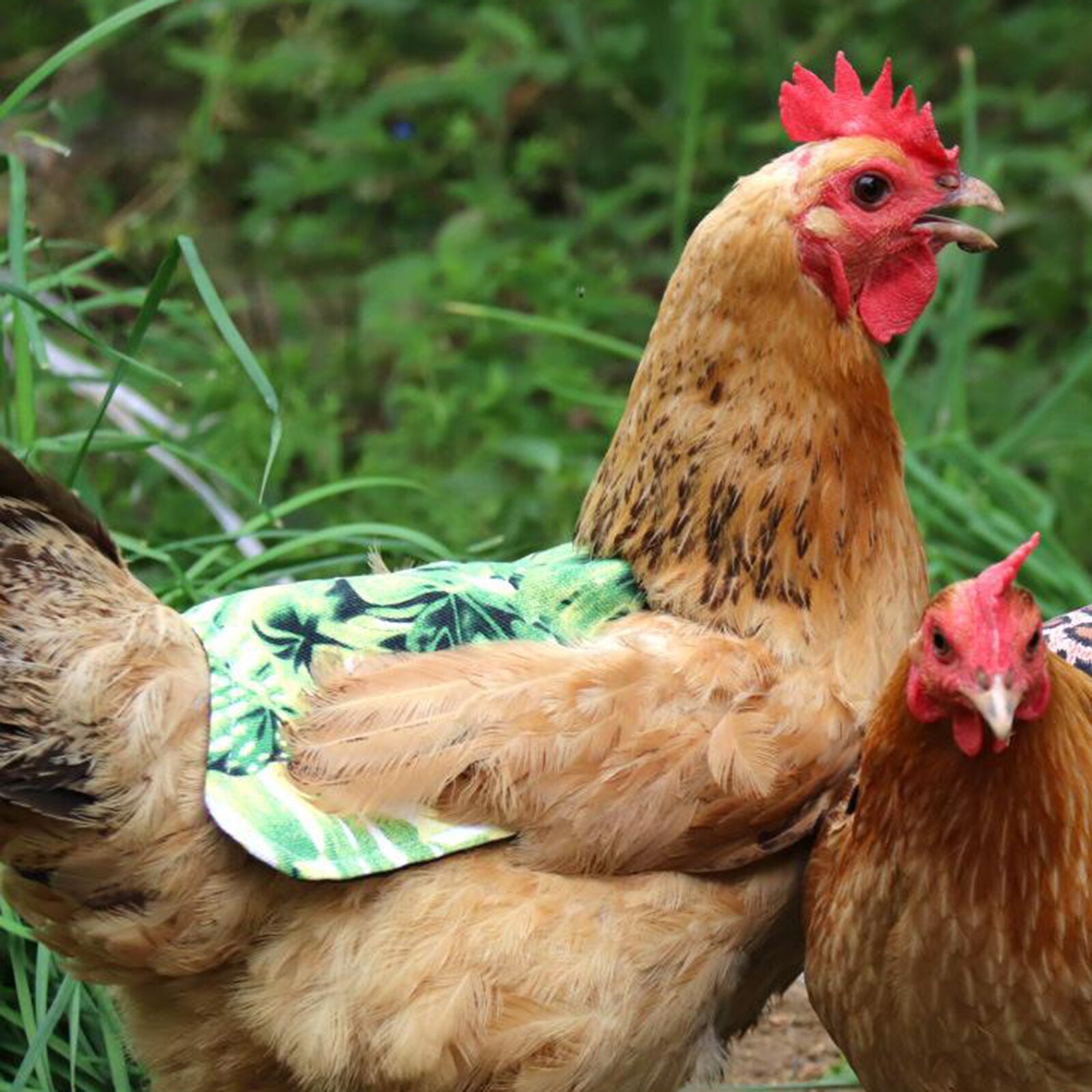 Gewatteerde Fabrci Hen Schort Kip Zadel Terug Protector Pluimvee Supplies