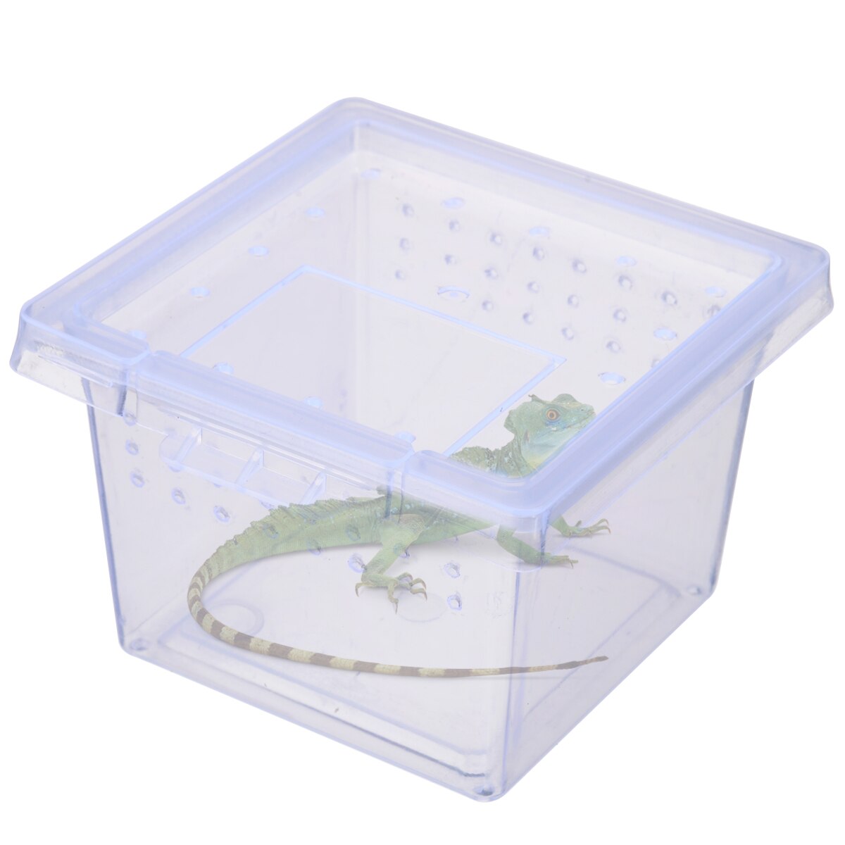 1PC Insect Boxes Clear Plastic Insect Reptile Boxes Spider Snake Transport Breeding Feeding Case Convenit 6.8*4.5*5.5 cm