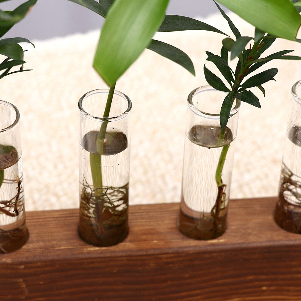 Hydrocultuur Vaas Plant Glazen buis Creatieve Hydrocultuur Plant Transparante Vaas Houten Frame Koffie Shop Room Decor Desk Decoratie