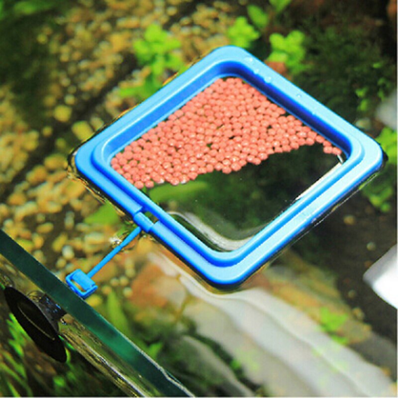 Anillo de alimentación para acuario, alimentador circular de tanque de peces, bandeja de comida cuadrada/redonda, para mantener la comida en el área, Guppy, Goldfish Betta