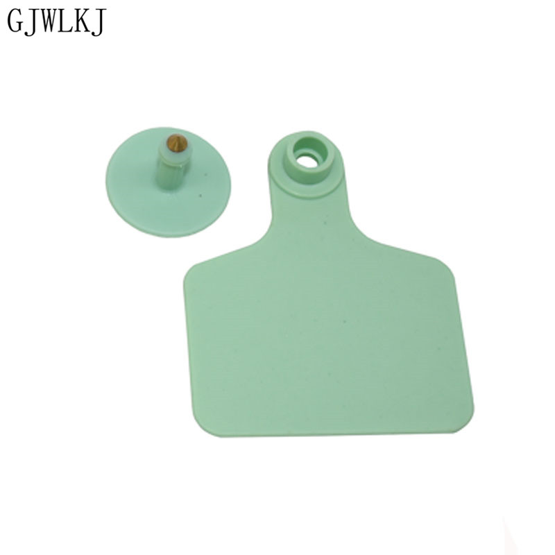 20 zestawów z wysokiej jakości TPU bydła kolczyków i niemy głowy miedzi kolczyki zwierząt gospodarskich identyfikacji karty zwierząt dostaw: zielony