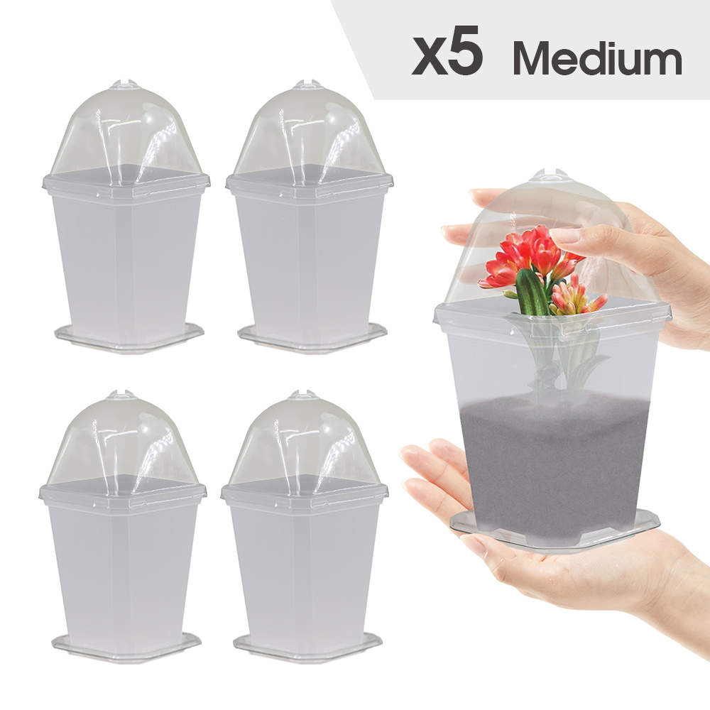 4-maten tuinkwekerij zaailingbeker met warmer deksel vochtigheidskoepel voor binnenkas bloempotten container kweekpotten: Light Grey