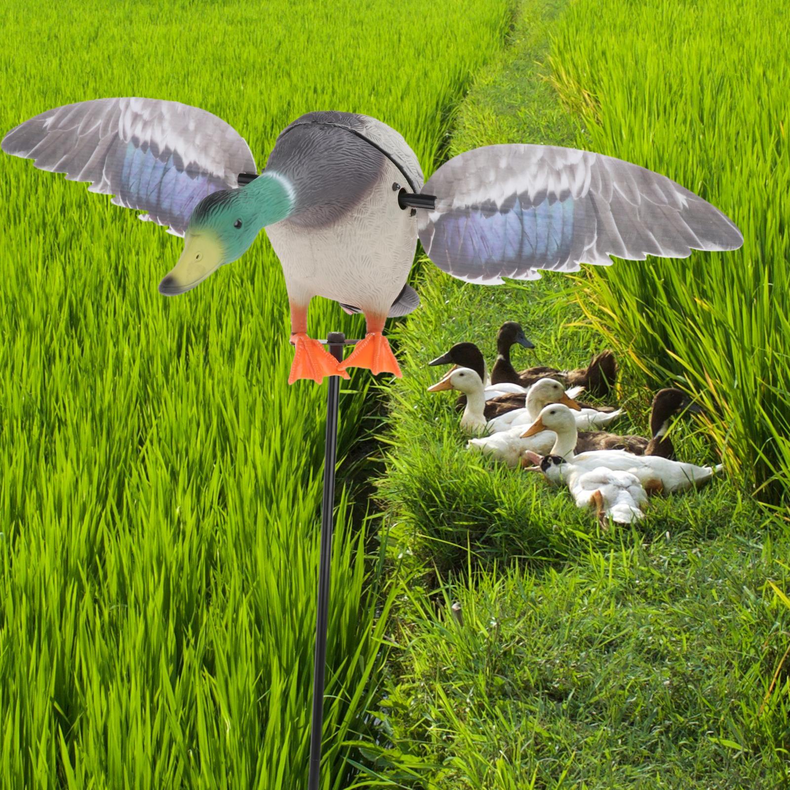 Mallard Drake Decoys Realistic Wing Motion Duck Decoy Outdoor Garden Decor