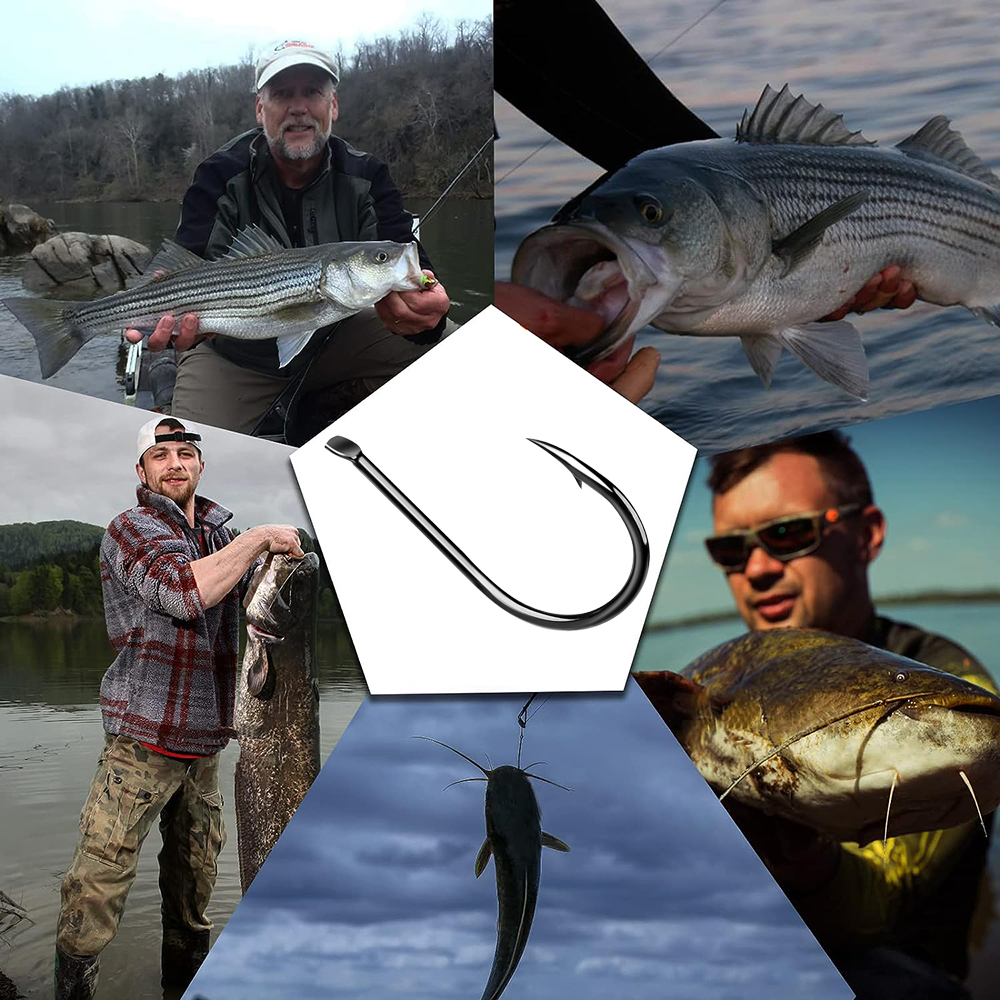 Ami da pesca singoli 100 pezzi Attrezzatura da cavalla Ami piatti Carpa Brabed Amo da pesca Esche Amo ausiliario Accessori per la pesca 3 # -15 #