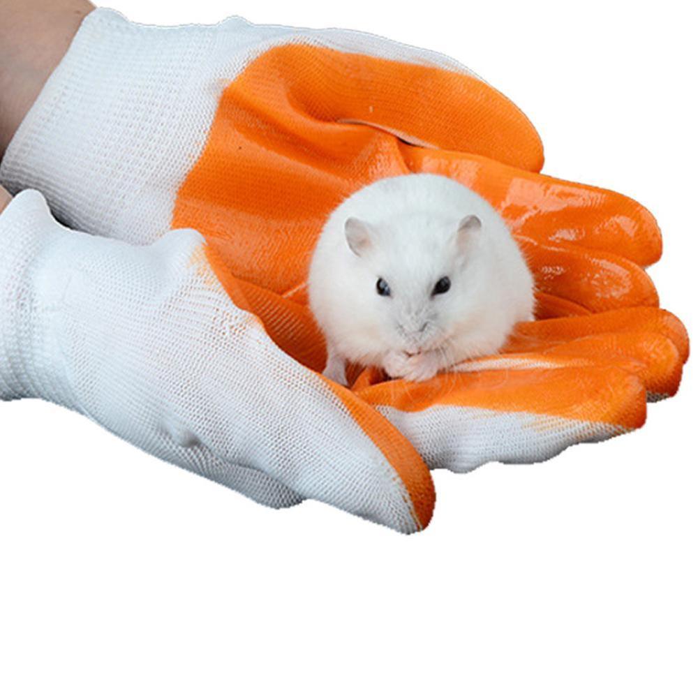 Kleine huisdieren bijtbestendige handschoenen onbreekbare handbeschermingshandschoenen varkens chinchilla's hamsters bijten konijnen cavia  x3 m 6