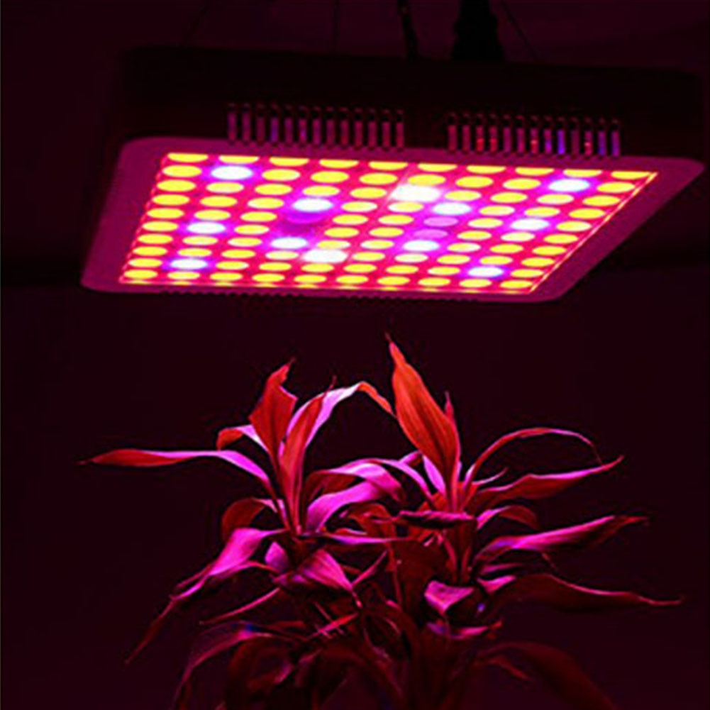 Plants Growing Lamps Full Spectrum Plant Grow Led Light For Greenhouse Grow Tent Plants Seedling and Flower Plants Grow Light