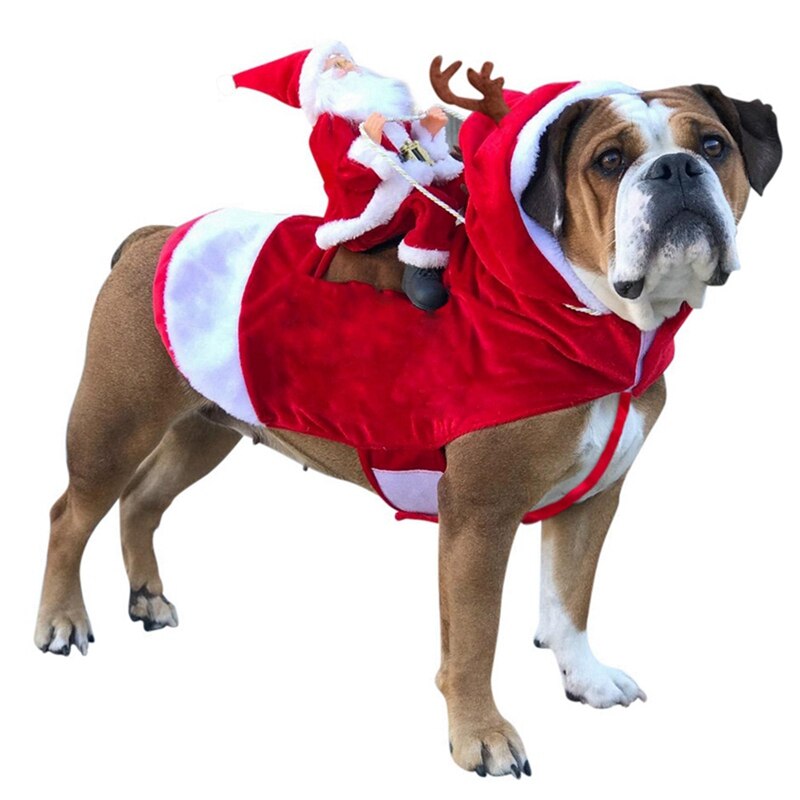 Costumi natalizi per cani da compagnia costumi divertenti costume da babbo natale per cani gatti novità vestiti per cani chihuahua carlino york abbigliamento: A / L