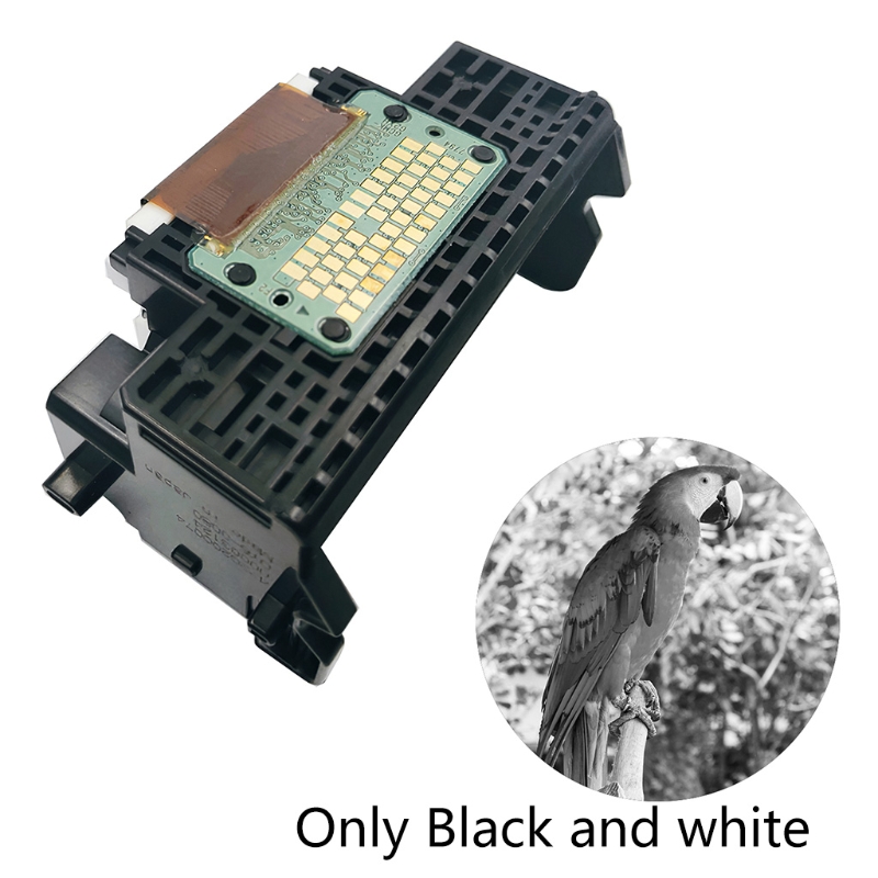 Tête d&#39;impression QY6-0080, noir et blanc, pour iP4850/MG5250/MX892/iX6550/MG5320/MG5350/MG5220/IP4880/IP4840/MG5280/ip4820