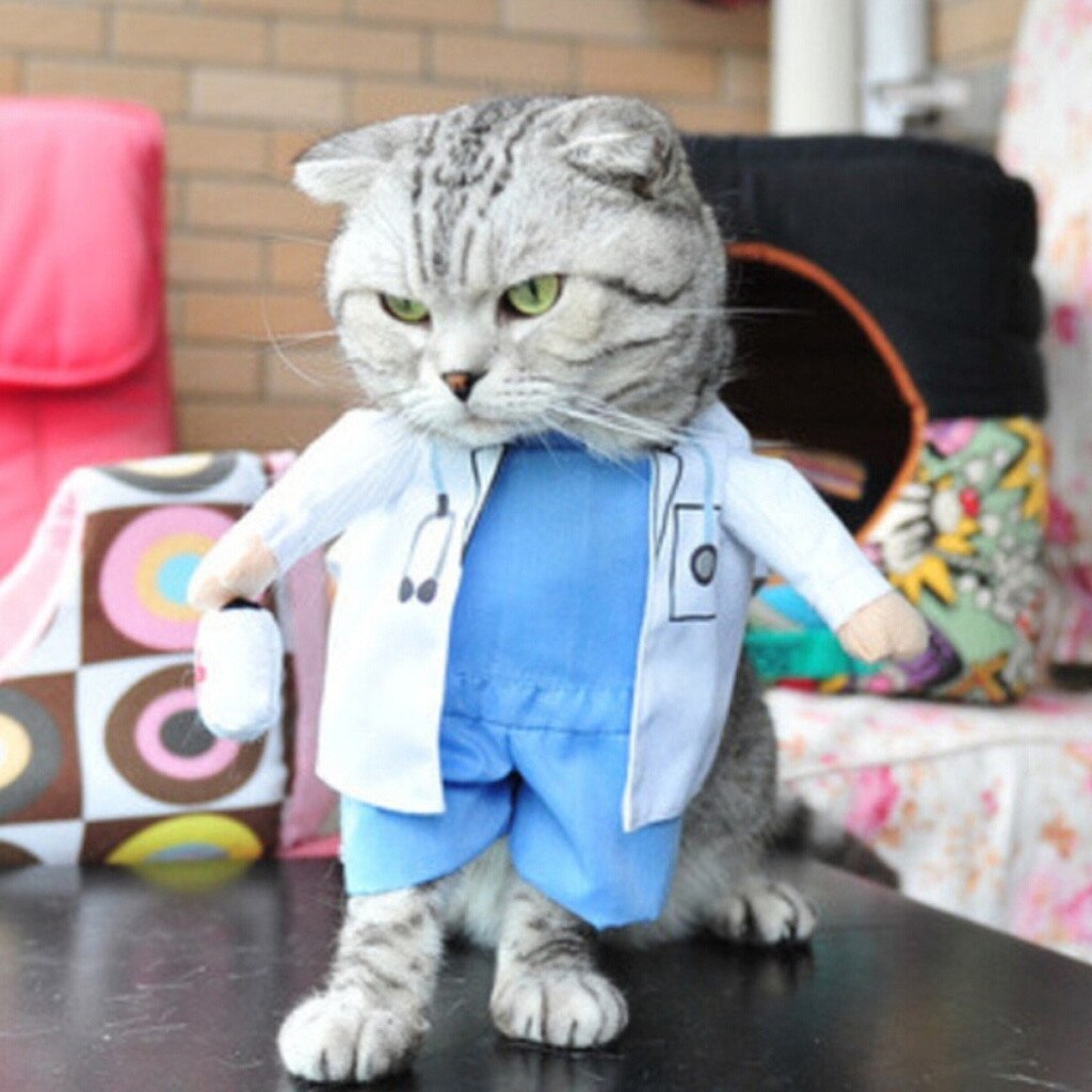 cute funny Cosplay clothing for Pet Funny Cat Costumes Clothing Dress Clothes for party Cosplay different career#0212y10