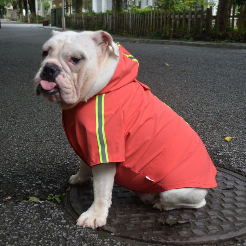 Französisch Bulldogge Regenmantel Mops Hund Kleidung Englisch Bulldogge Grube Stier Terrier Amerikanischen Bully Pitbull Kleidung Wasserdichte Mantel Outfit: verrotten / B-XL