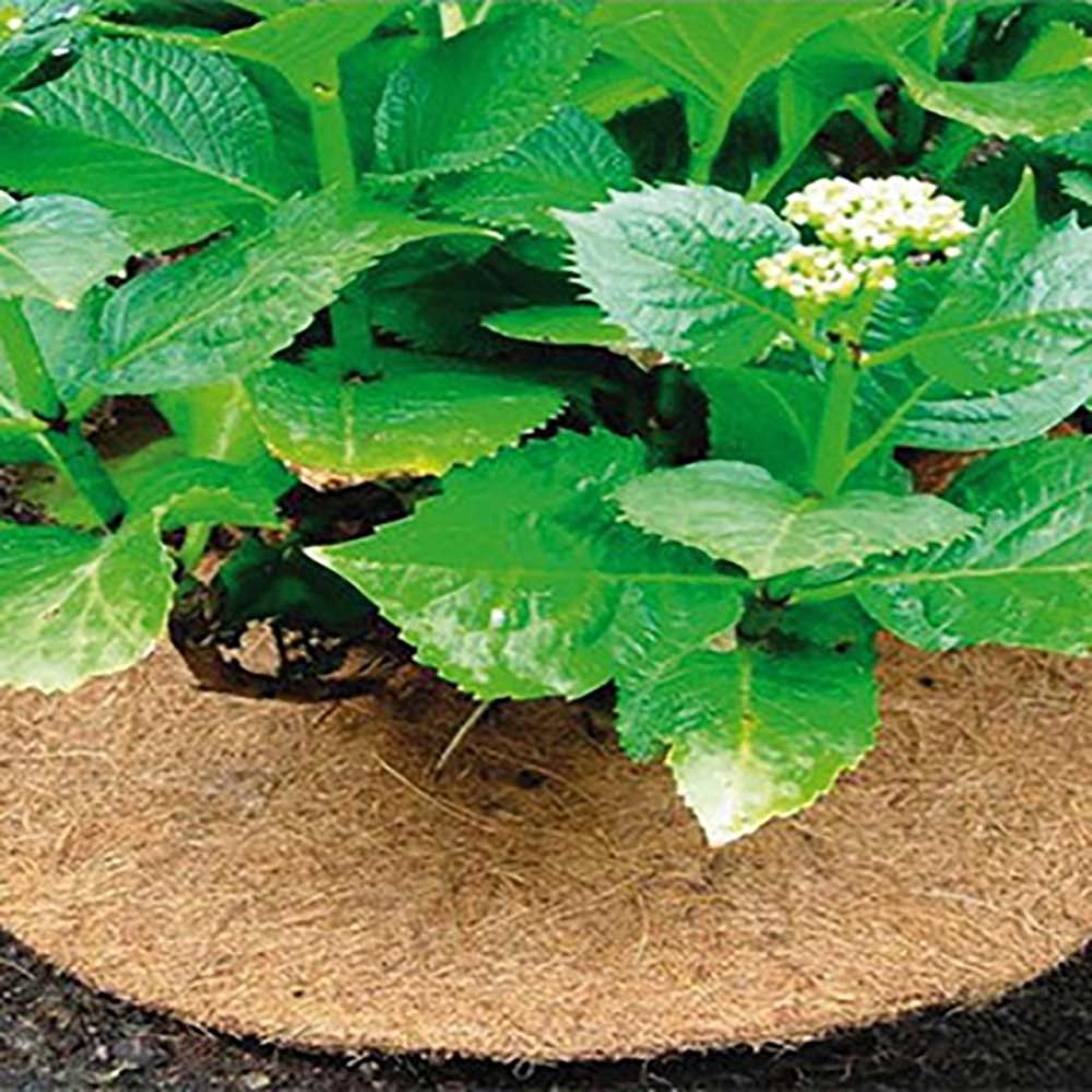 Kokos mulch cover mulch disc plante cover coir måtten til havearbejde mulch diske frostbeskytter kulde beskytte vinter mulching