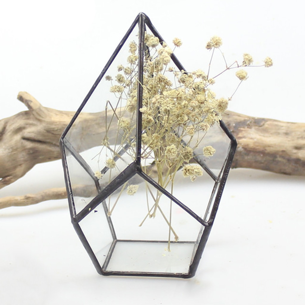 Irregular Glass Geometric Terrarium Box Tabletop Succulent Air Plant Fern Moss Pot Planter