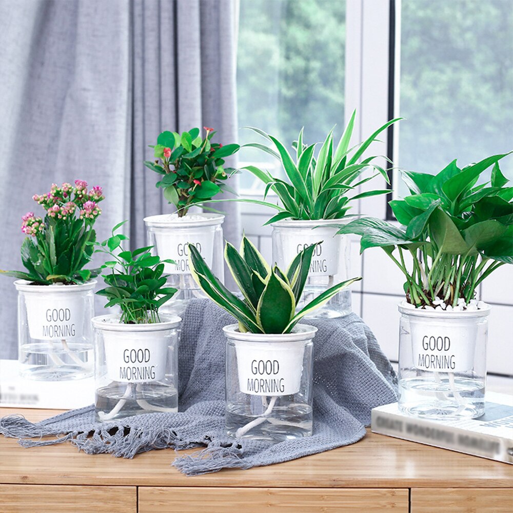 Pot de fleurs transparent pour plantes 1 pièce, pot de fleurs de jardin et de balcon, objets ménagers, plantation hydroponique du sol