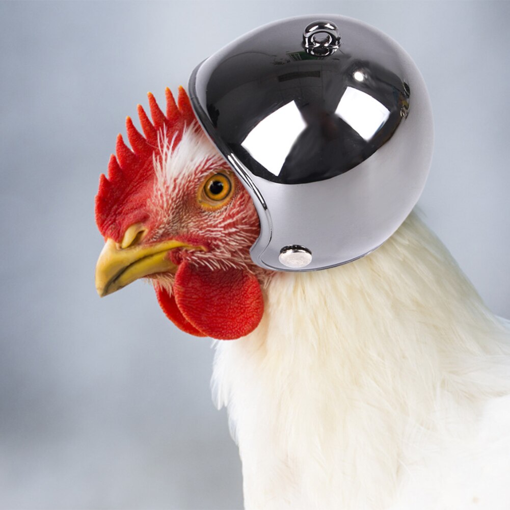 Casque de poulet pour animaux de compagnie petit animal de compagnie volaille oiseau canard couvre-chef chapeaux tête protecteur oiseau tête casque fournitures pour animaux de compagnie 1 pièces