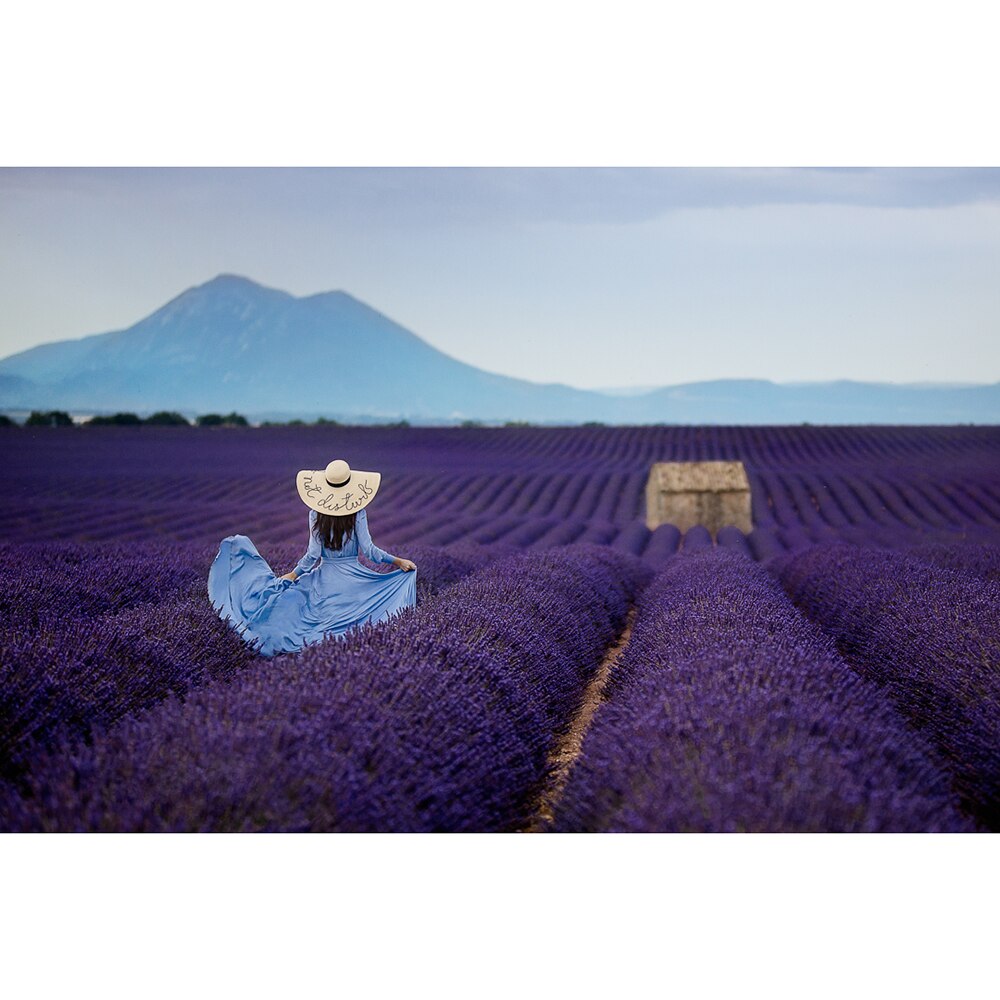 DIY Paint By Number Landscape Picture By Numbers For Adults Modern Wall Art Decors Canvas Painting By Numbers Home Decor: Plum