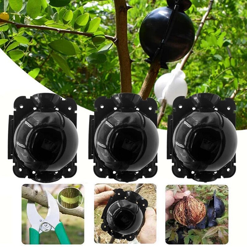Reusable Plant Rooting Equipment Kit Cutting Grafting Rooting Box Tree Pressure Branch Rooting Propagator Breeding Ball
