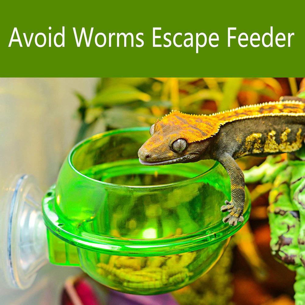 Anti-escape Voedsel Kom Worm Live Veevoeder Container voor Huisdierenhagedis Kameleon