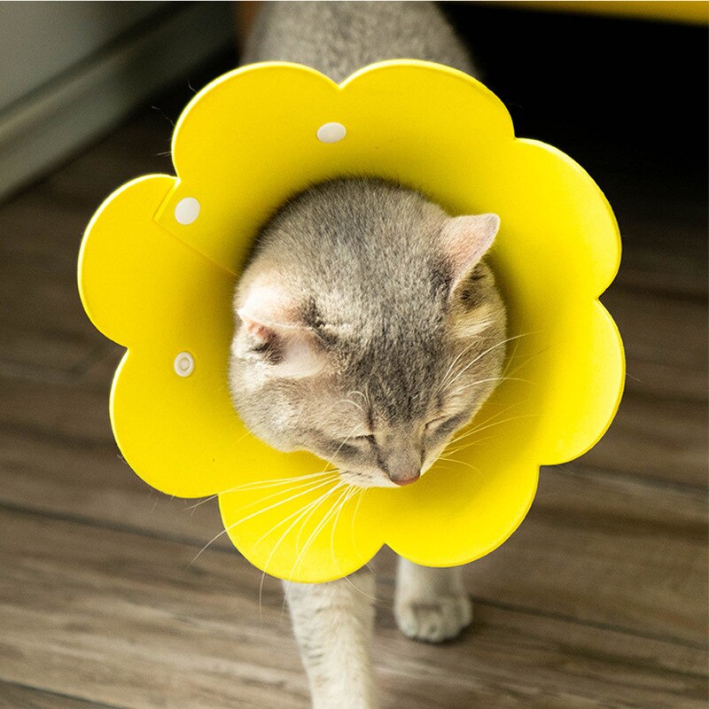 EVA Katze Nacken Schutz Kreis Kragen Sonne Blume Sonne Blume Anti Biss Anti Greifen Anti Lecken Katzen Nacken Elisabethanischen Kragen