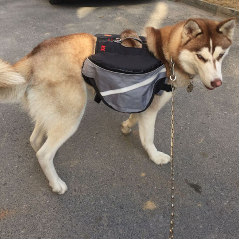 Huisdier Grote Hond Bag Carrier Rugzak Zadeltassen Hond Zelf Rugzak Reizen Grote Capaciteit Tas Dragers Voor Honden PB610