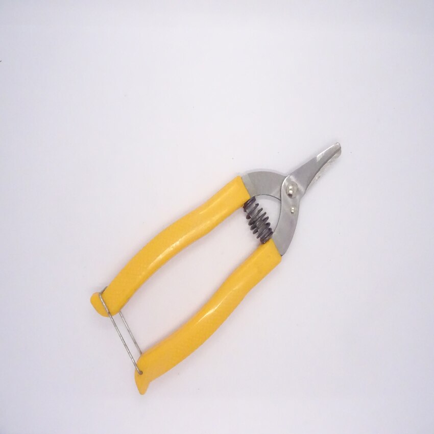 orange scissors Curved mouth small fruit tree pruning shear fruit scissors for gardening fruit experts